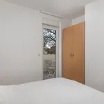Apartment Rona Volta *